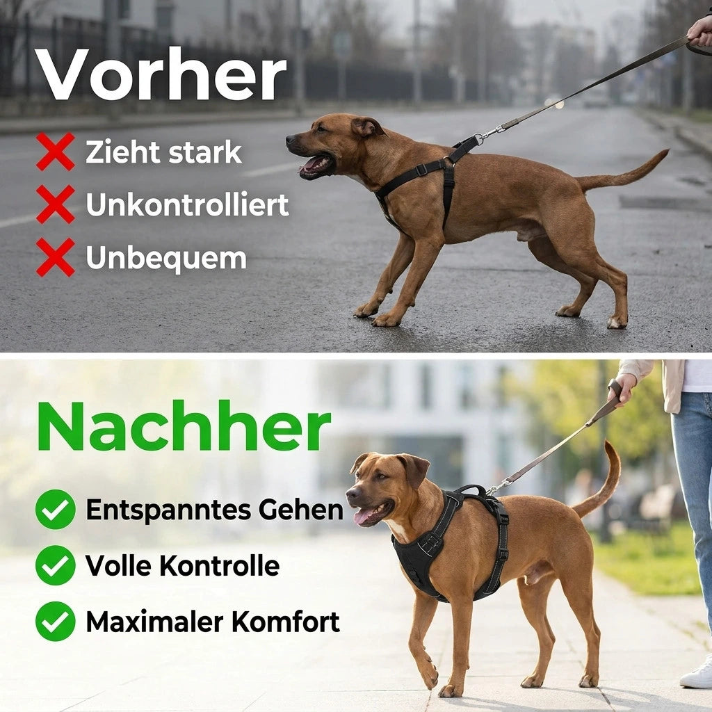Anti-Zug Hundegeschirr